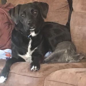 Meet your Posher, Tracy